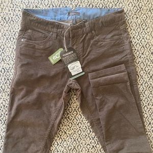 Brown Toad&Co Cords Pants